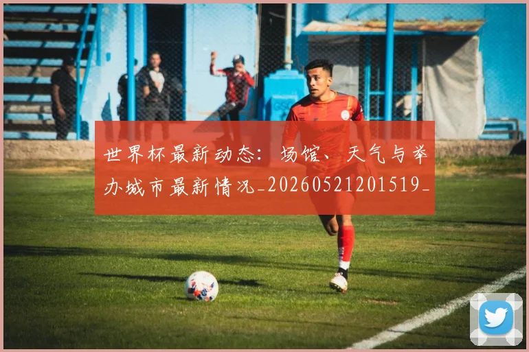 世界杯最新动态:场馆、天气与举办城市最新情况_20260521201519_20260607160342