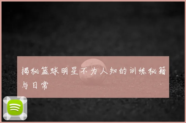 揭秘篮球明星不为人知的训练秘籍与日常